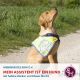 Assistenzhunde - Mein Assistent ist ein Hund (2 Tage-Onlinefortbildung)