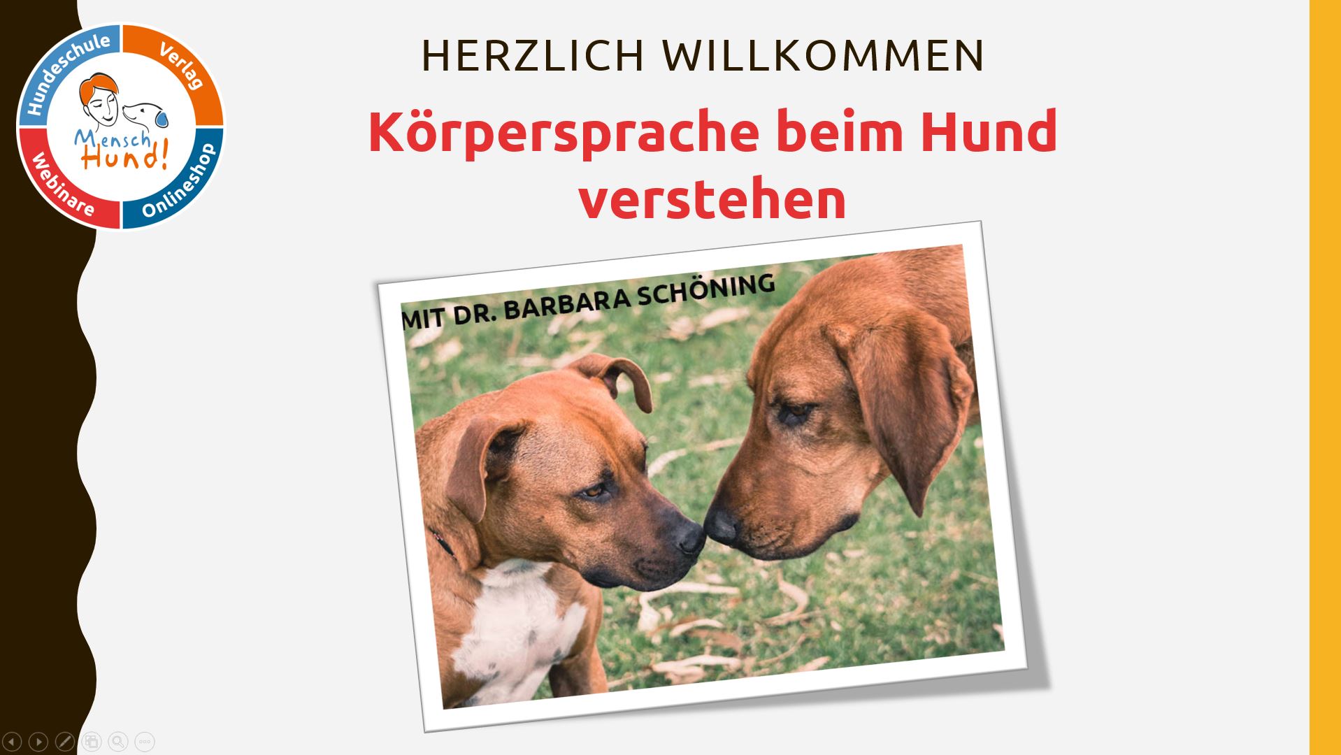 Körpersprache Beim Hund Verstehen Hundwerkszeug Onlineshop 